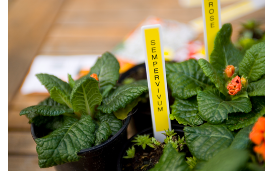 TZE631 12mm BLACK ON YELLOW [4]