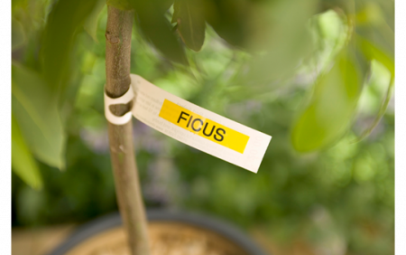 TZE621 9mm BLACK ON YELLOW [3]