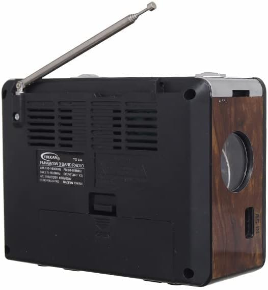 Radio portabil reîncărcabil Yuegan YG-034 AM/FM, MP3, USB/SD/TF, Maro Engross [3]