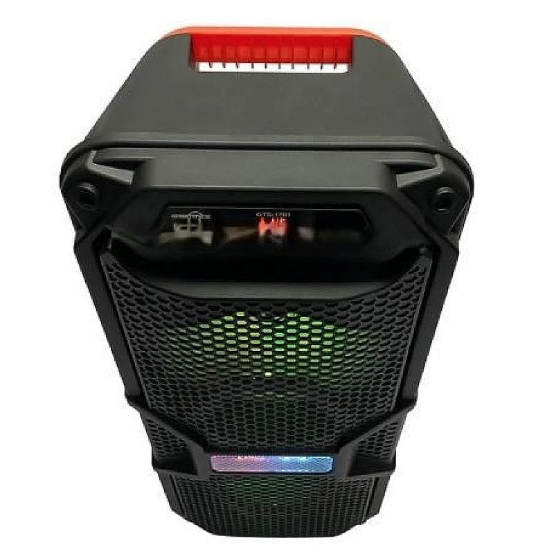 Boxa Portabila 8" GTS-1701 RGB cu Microfon engross [3]