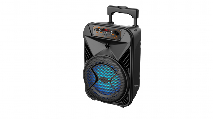 Boxă portabilă GTS-2052, 8 Inch, 10W, RGB, Bluetooth/USB/SD/FM, microfon inclus engross [3]