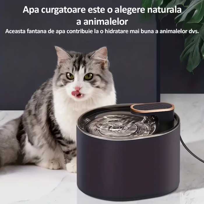 Dispenser Automat de Apă Tip Fântână pentru Pisici și Câini – 3L, Filtrare cu Cărbuni Activ, Silentios, LED Albastru engross [6]