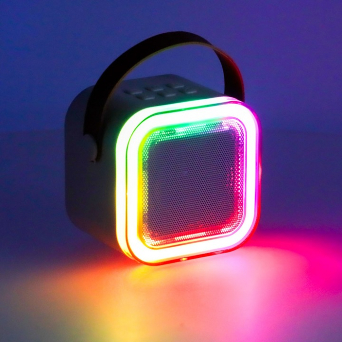 Set Karaoke cu 2 Microfoane și Boxă Portabilă Roz, 6W engross [4]