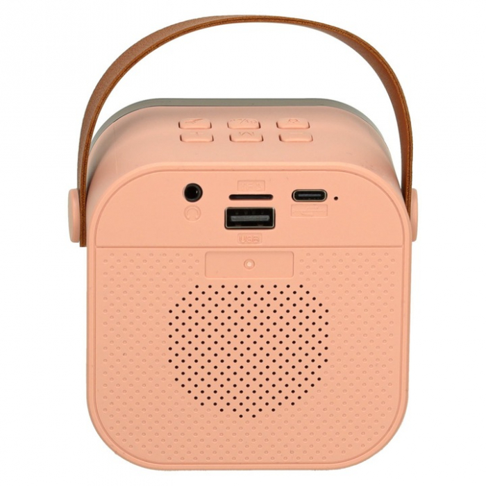 Set Karaoke cu 2 Microfoane și Boxă Portabilă Roz, 6W engross [5]