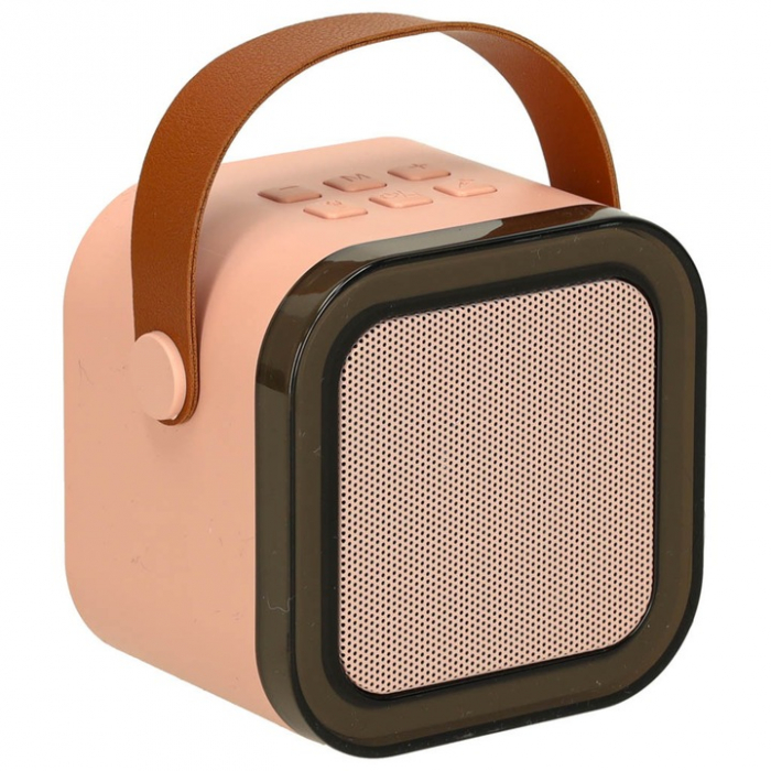 Set Karaoke cu 2 Microfoane și Boxă Portabilă Roz, 6W engross [11]