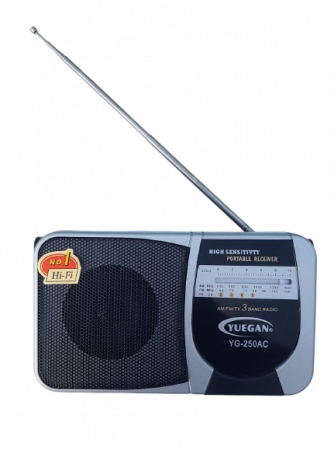 Radio cu ceas & portabile - Radio YUEGAN, model YG-250AC Engross