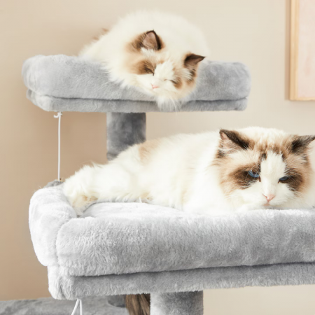 Ansamblu de Joacă pentru Pisici – Cat Tree 115 cm, 2 Culcușuri, Căsuță și Stâlpi cu Sisal, Gri engross [4]