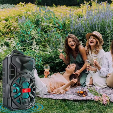 Boxa portabila karaoke zqs12137, 2 microfoane, 120w pmpo, led rgb Engross [4]