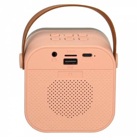 Set Karaoke cu 2 Microfoane și Boxă Portabilă Roz, 6W engross [4]