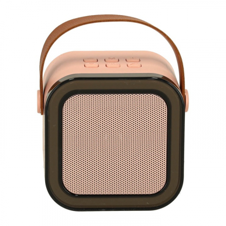 Set Karaoke cu 2 Microfoane și Boxă Portabilă Roz, 6W engross [9]