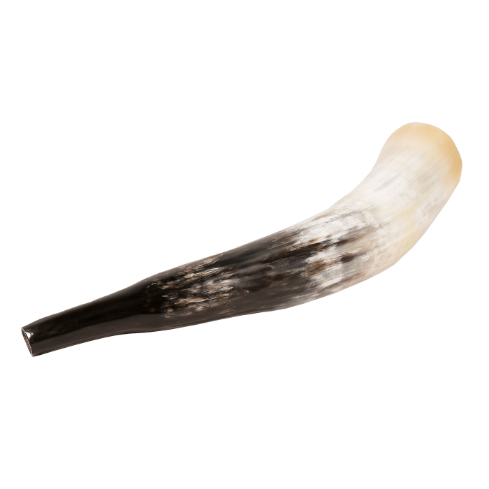 Corn natural de suflat din corn de vaca polishat (40–45 cm) [2]