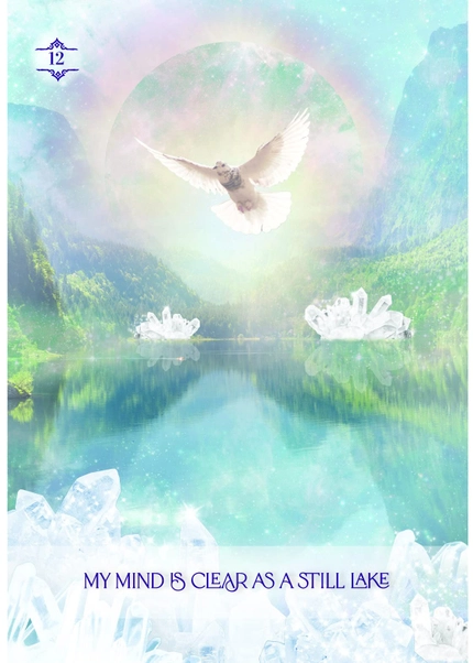 Set 50 Carti Oracol, The Law Of Positivism – Sheeren Oberg [3]