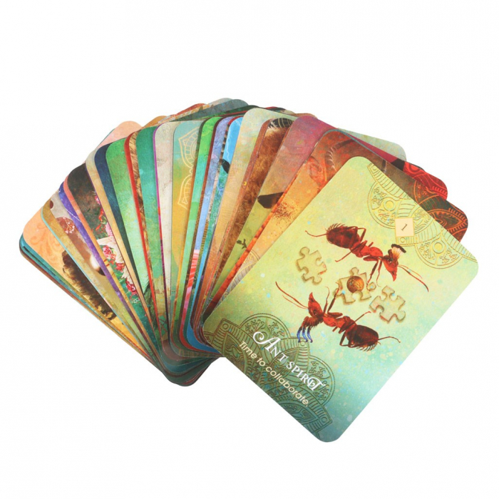 Set 68 Carti Oracol, Spirit Animal, Pachet de Buzunar – Colette Baron-Reid [4]