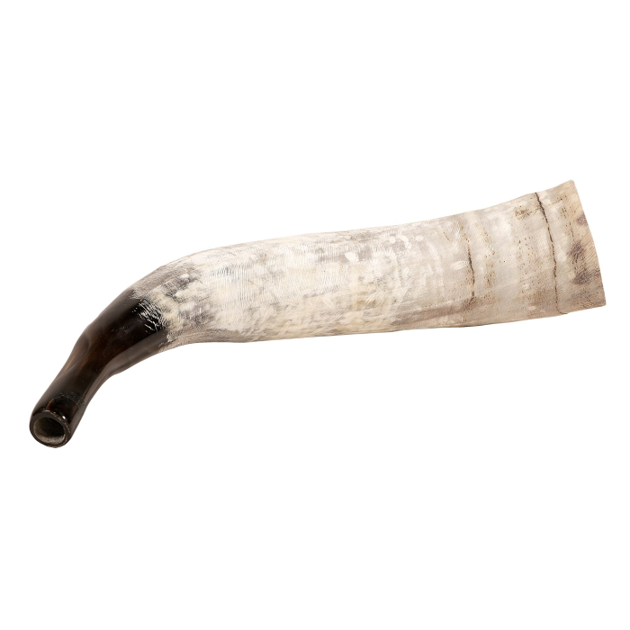 Corn natural de suflat din corn de vaca,brut (40–45 cm) [2]