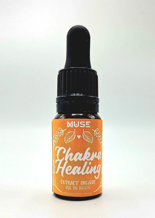 Set 7 Elixiruri pentru Chakre [4]