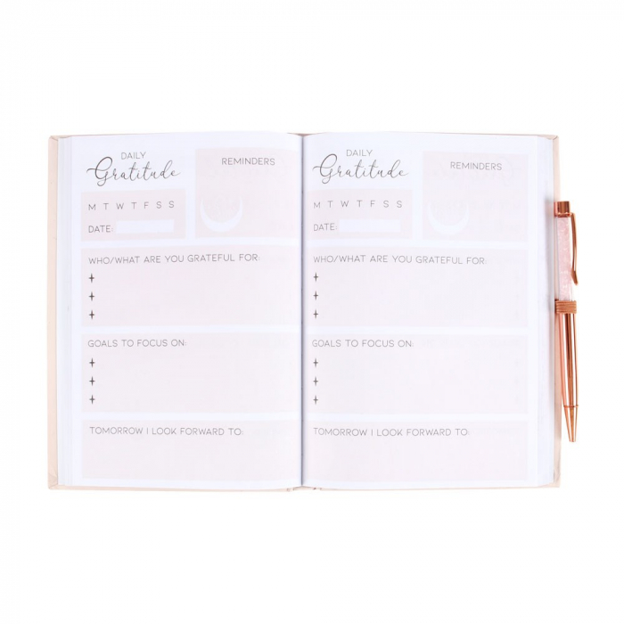 Jurnal Recunostinta si Pix cu Cuart Roz, 100 file [3]