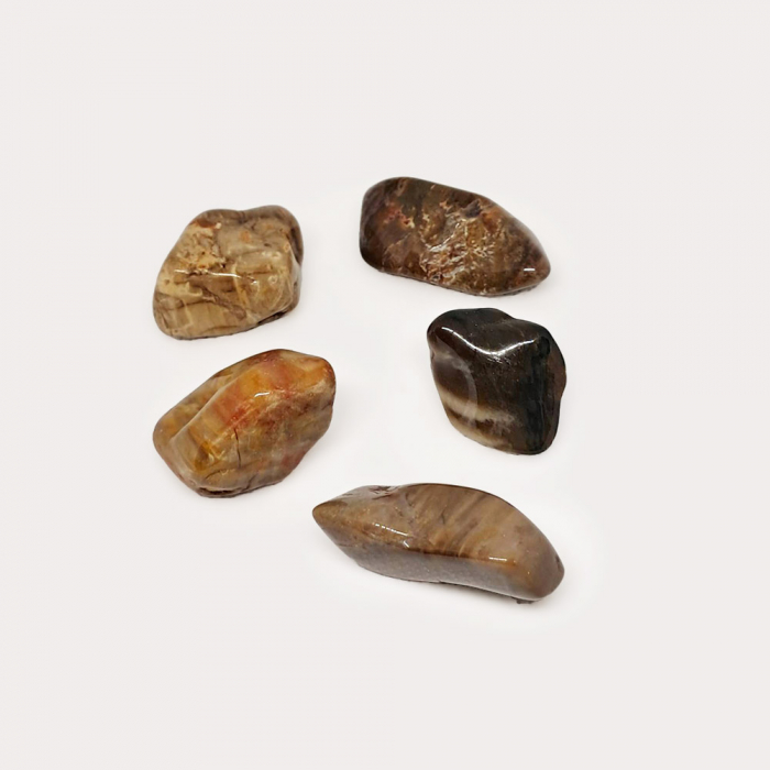 Lemn Pietrificat Natural (Slefuit) [2]
