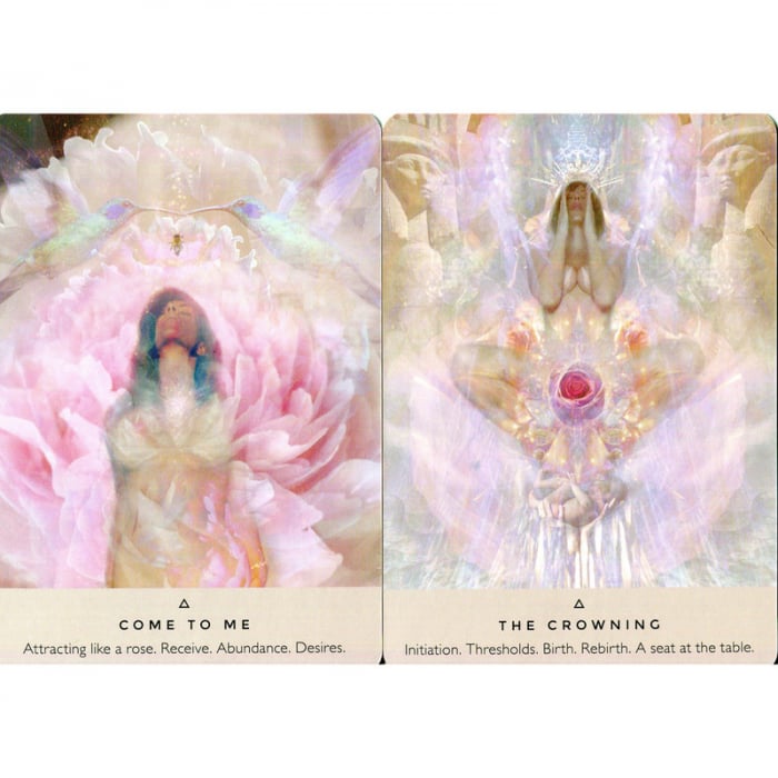 Set 44 Carti Oracol, The Rose – Rebecca Campbell [5]