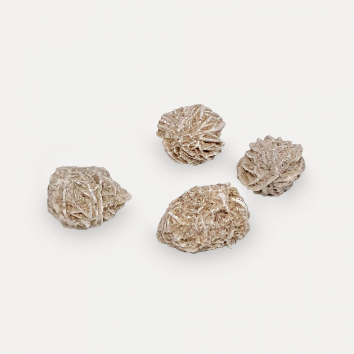 Trandafirul Desertului, 1-2cm, 1 buc [2]