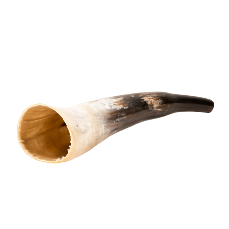 Diverse - Corn natural de suflat din corn de vaca polishat (40–45 cm)