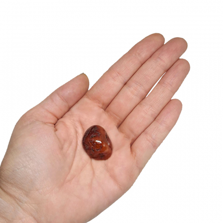 Pietre semipretioase slefuite - Carnelian, Piatra Naturala Semipretioasa (Slefuita), 2-3cm, 1 buc