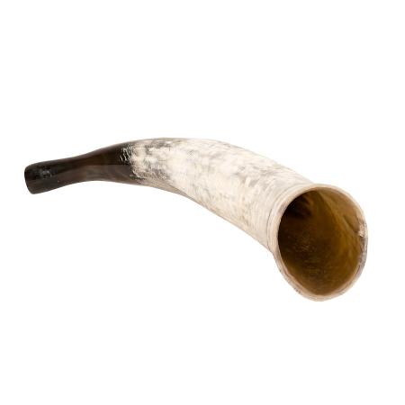 Diverse - Corn natural de suflat din corn de vaca,brut (40–45 cm)