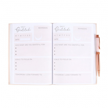 Jurnal Recunostinta si Pix cu Cuart Roz, 100 file [2]