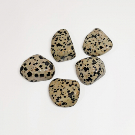 Jasp Dalmatian, Piatra Naturala Semipretioasa (Slefuita) [1]