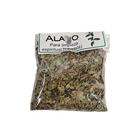 Protectie - Planta Alamo - Protectie si Echilibru