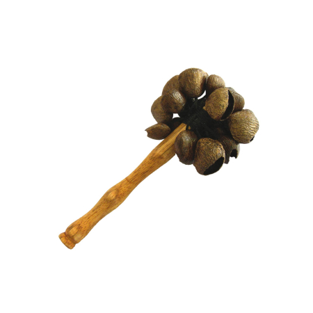 Instrumente samanice - Shaker de mana din seminte Pangi cu bat