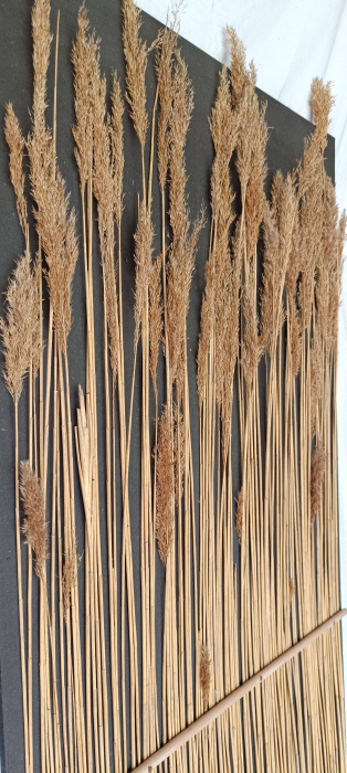 Panou decorativ de perete ARUNDO, din stuf si placaj MDF negru [3]