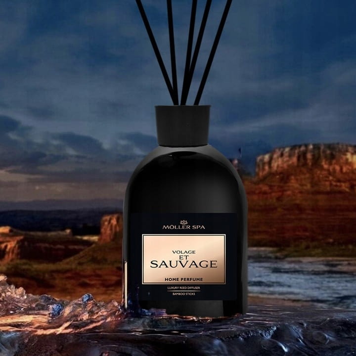 PACHET CADOU PENTRU BARBATI PREMIUM 4X250 ML PARFUM CU BETISOARE-Eleganță și lux în fiecare picătură-ONE MILION,SAUVAGE,LOVE,INVICTUS-TRANSPORT GRATUIT [6]