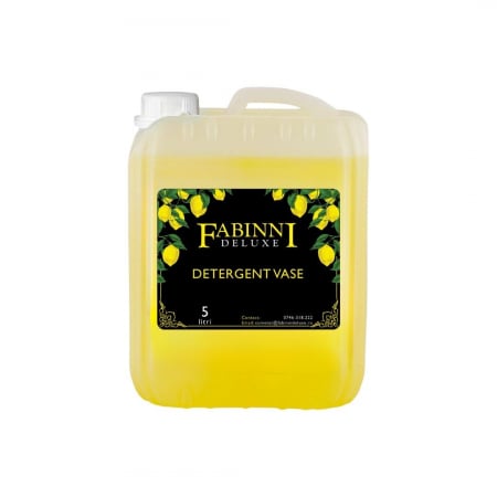 Produse Curatenie - Detergent Vase Profesional 5 L concentrat-Lamaie