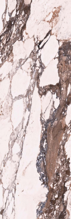 Faianta rectificata tip marmura Marble Viola Bordo 3393, 24.40X74.40, bordo, 1.10mp/cut [4]