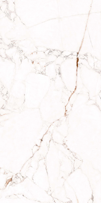 Faianta rectificata tip marmura, Marquina Vine White 4880, 30X60cm, alb [4]