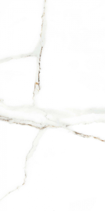 Faianta tip marmura Delphi White 4856-4928, 25x50 cm, alb, finisaj lucios [5]