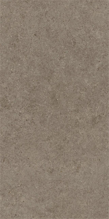 Gresie portelanata, Boost Stone Taupe Matte A6Q6 60×120 cm, maro, finisaj mat [2]