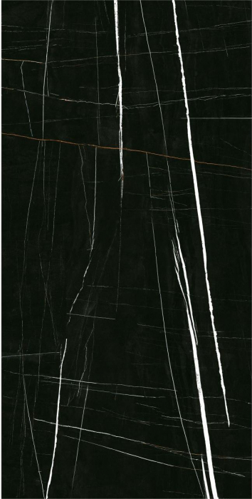 Gresie rectificata portelanata tip marmura, Sahara Noir 60x120, negru, finisaj lucios [3]