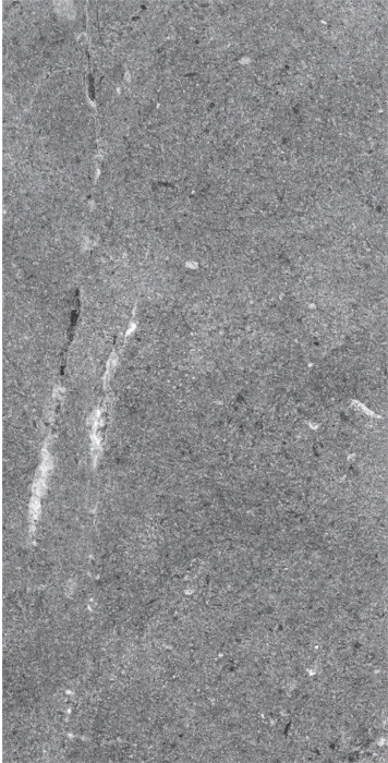 Gresie tip ciment, California Graphite 62360110, 30x60cm, gri, finisaj mat [1]