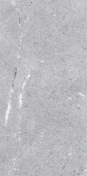 Gresie tip ciment, California Rock 62360210, 30x60cm, gri, finisaj mat [1]