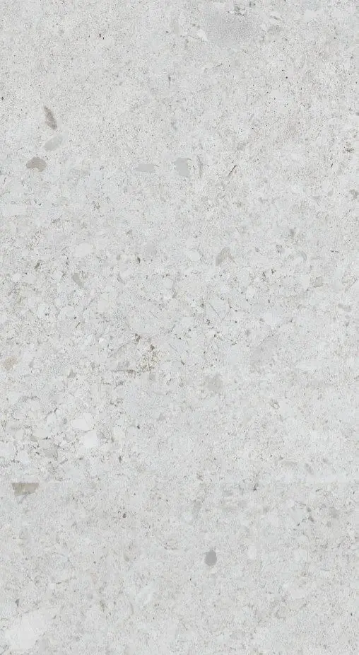 Gresie rectificata tip ciment, Venezia Matt Gray 36610111, 60x120cm, gri, finisaj mat [2]