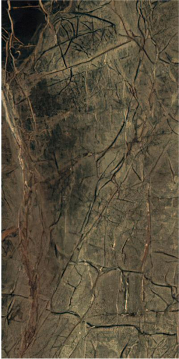 Gresie tip marmura, Rain Forest Rec, 60x120 cm, 55016859RN, rectificata, verde, finisaj lucios, 2.17mp/cut [2]