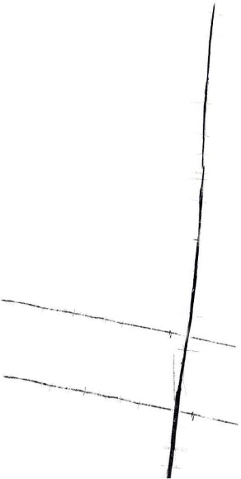 Gresie tip marmura, Pietra Bianco Glossy, 60x120cm, alb, finisaj lucios [3]