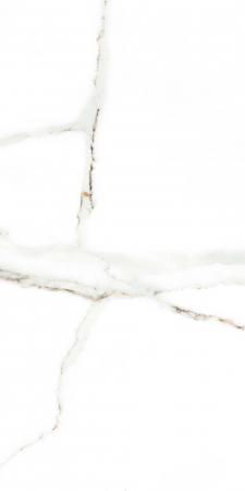 Faianta tip marmura Delphi White 4856-4928, 25x50 cm, alb, finisaj lucios [4]