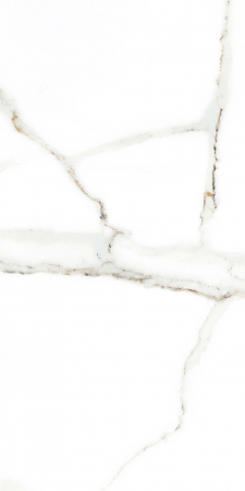 Faianta tip marmura Delphi White 4856-4928, 25x50 cm, alb, finisaj lucios [3]