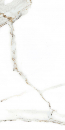 Faianta tip marmura Delphi White 4856-4928, 25x50 cm, alb, finisaj lucios [2]