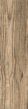 Gresie portelanata tip lemn, Denver Fossil Brown 6548, 15.5 X 60.5, maro, 1.03mp/cut [1]