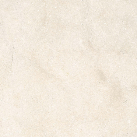 Gresie exterior 2 cm Everscape Fossil White RT 6028 K8JY, 60x60 Outdoor alb, 0.73mp/cut [5]