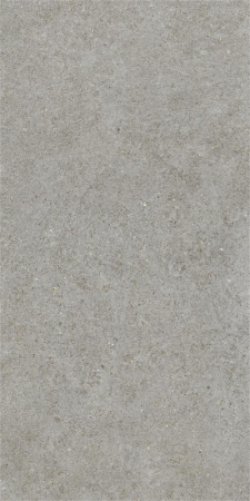 GRESIE - Gresie portelanata, Boost Stone Grey Matte A6Q8 60×120 cm, gri, finisaj mat