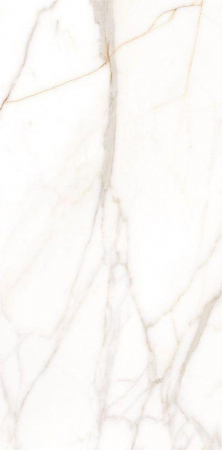 Gresie portelanata tip marmura Venecia 60x120 cm alb, auriu, finisaj lucios [2]